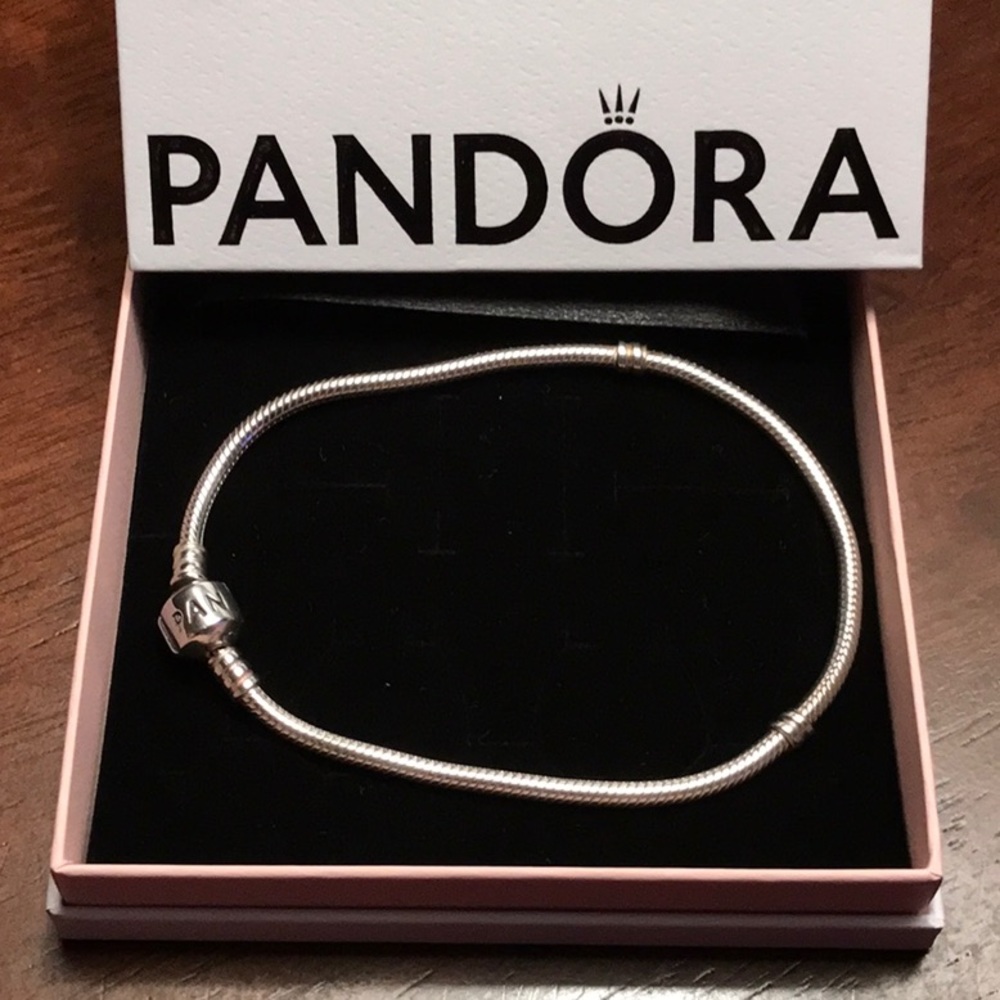 Pandora Moments Snake Chain Bracelet